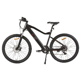 ELECTRIC BIKES